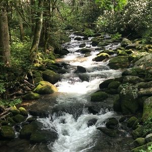 Meet your Posher, Leslie